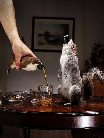 Brewdog Taxidermy